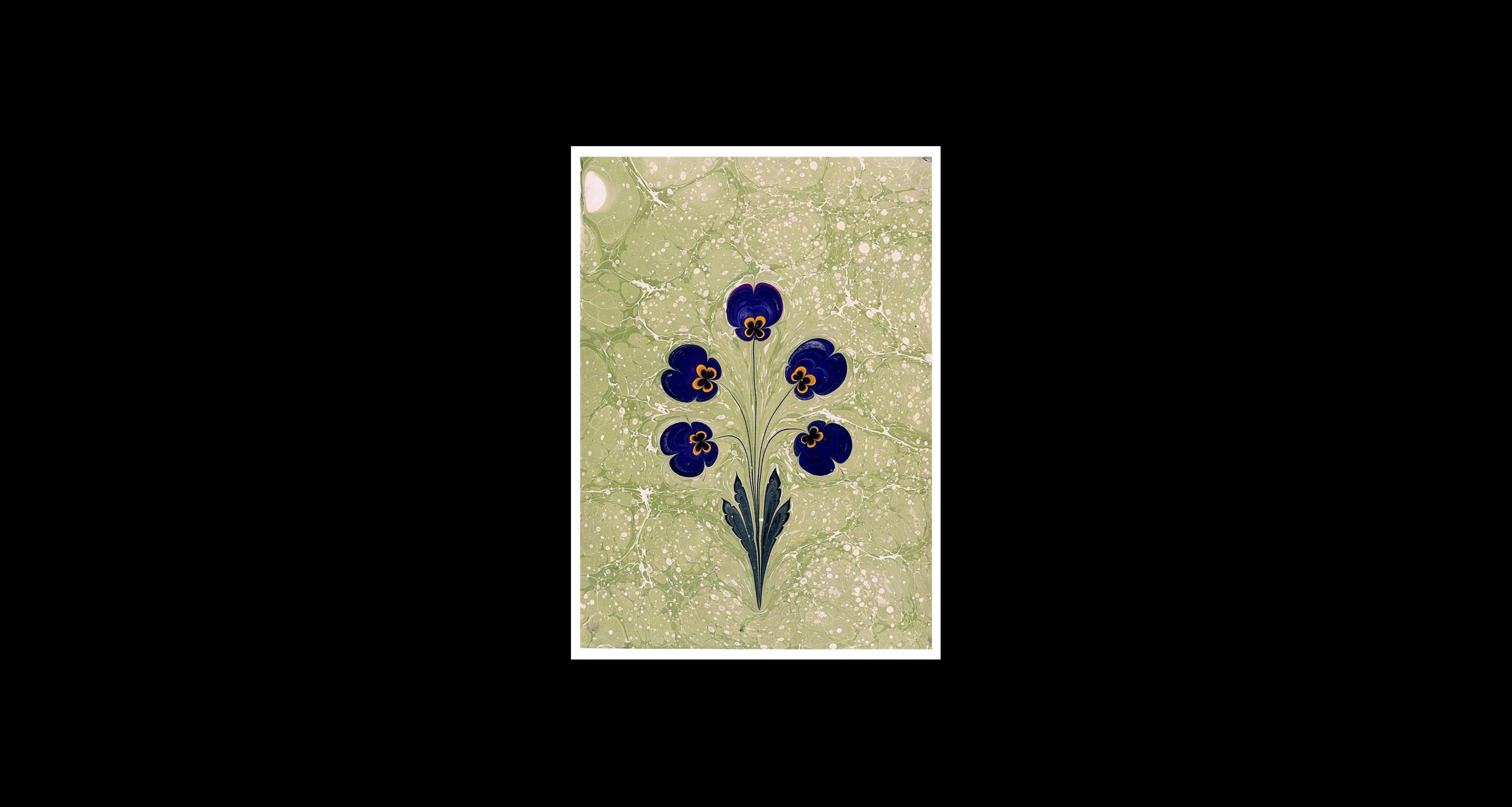 Ebru Sanatı Tanıtımı ve Uygulama Workshop